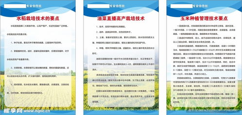 農(nóng)作物栽培管理技術(shù)設(shè)計(jì)圖及其在農(nóng)業(yè)技術(shù)研究中的應(yīng)用