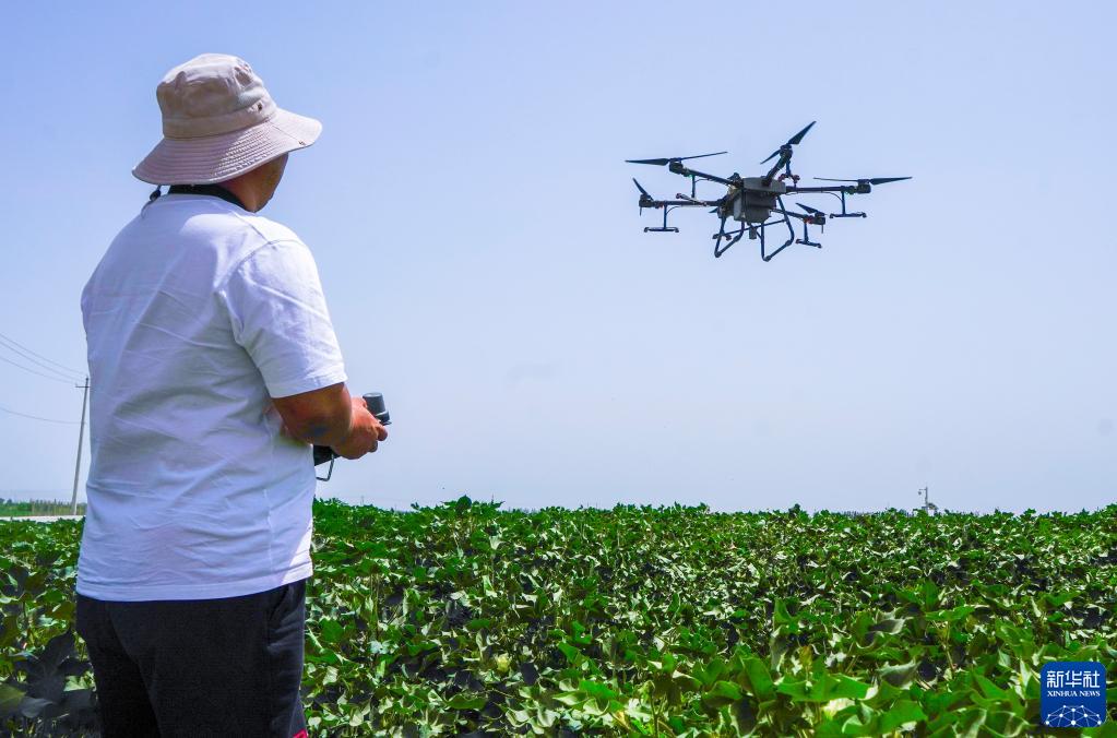 現代農技助力新疆夏管夏收，智慧農業迎來豐收季