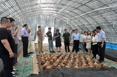 科技賦能邊疆農(nóng)業(yè) 中國科協(xié)農(nóng)技中心領(lǐng)導(dǎo)赴延邊州調(diào)研指導(dǎo)