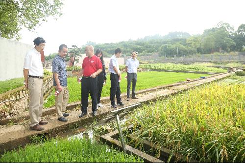 農業(yè)農村部科技發(fā)展中心調研祁陽站 聚焦前沿，共促農業(yè)技術創(chuàng)新發(fā)展