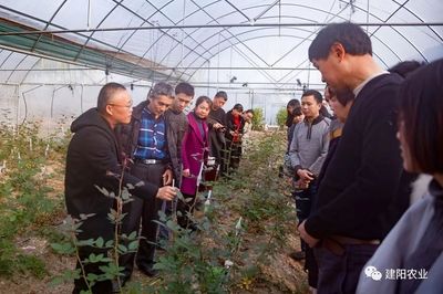 田間地頭的生動課堂 建陽區(qū)農技培訓“搬進”農業(yè)企業(yè)，賦能鄉(xiāng)村振興