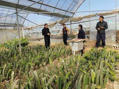 晉熙鎮(zhèn)深化農技推廣改革 賦能農業(yè)技術研究 穩(wěn)定發(fā)展農業(yè)生產