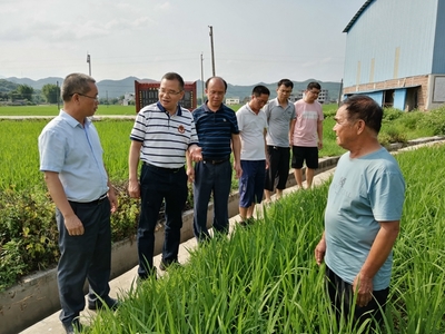 我區啟動全國五星鄉鎮農技推廣機構復核工作，深化農業技術研究與應用