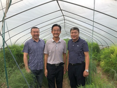 技術(shù)引領(lǐng)產(chǎn)業(yè)振興 陳光宇博士赴南通雙羊考察助推蘆筍產(chǎn)業(yè)高質(zhì)量發(fā)展