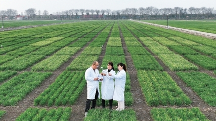 墾地融合 農(nóng)業(yè)技術(shù)研究的創(chuàng)新與實踐路徑